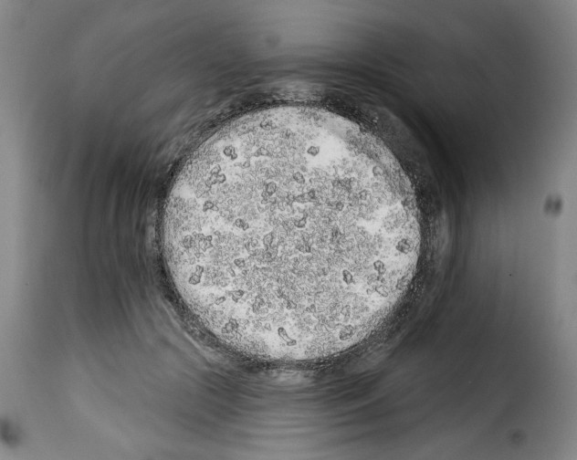 X0000114210553200911201025