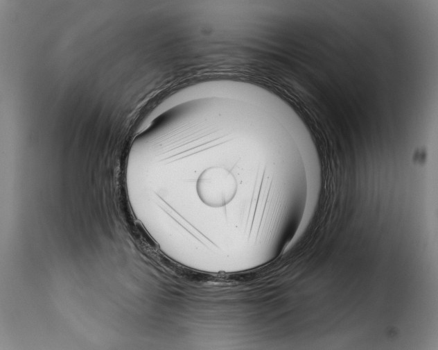 X0000114210556200911201025