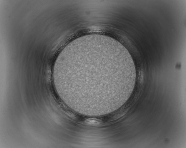 X0000114210557200911201025