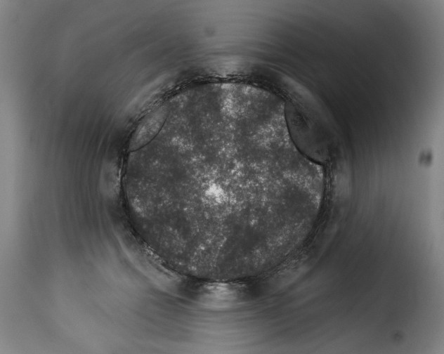 X0000114210558200911201025