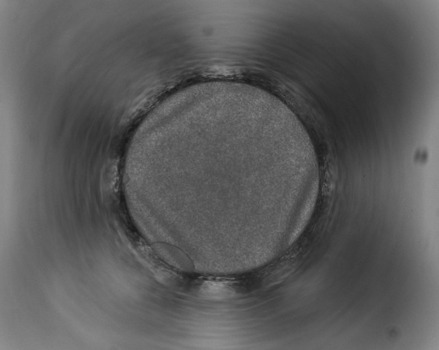 X0000114210560200911201025