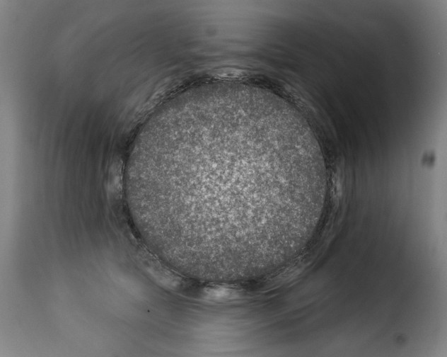 X0000114210561200911201025