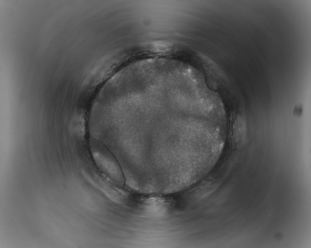 X0000114210562200911201025