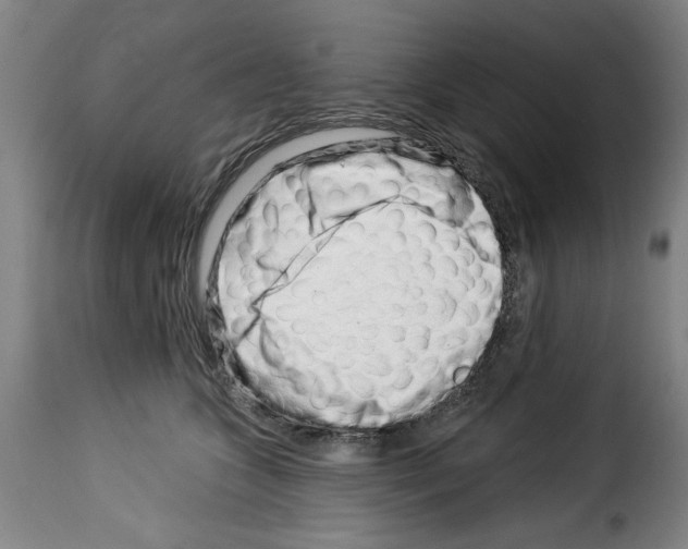 X0000114210563200911201025