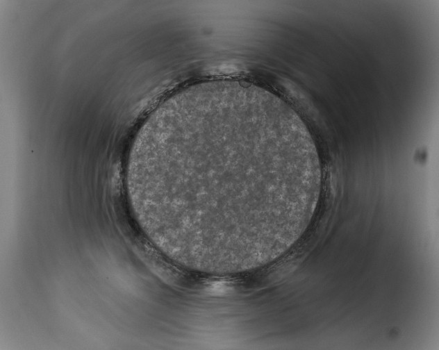 X0000114210564200911201025