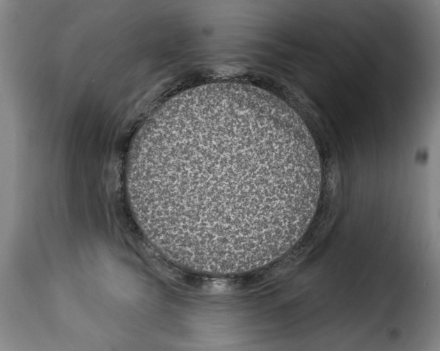 X0000114210565200911201025