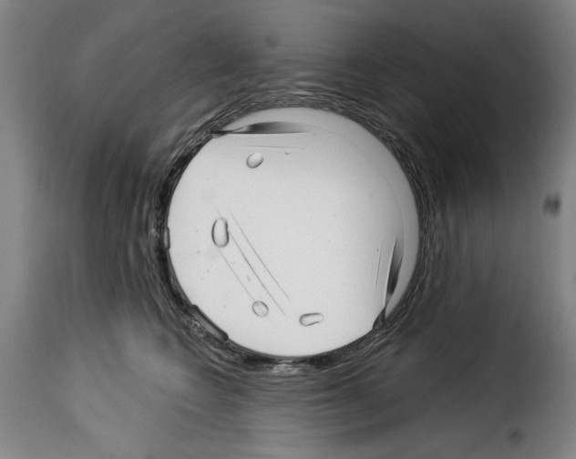 X0000114210566200911201025