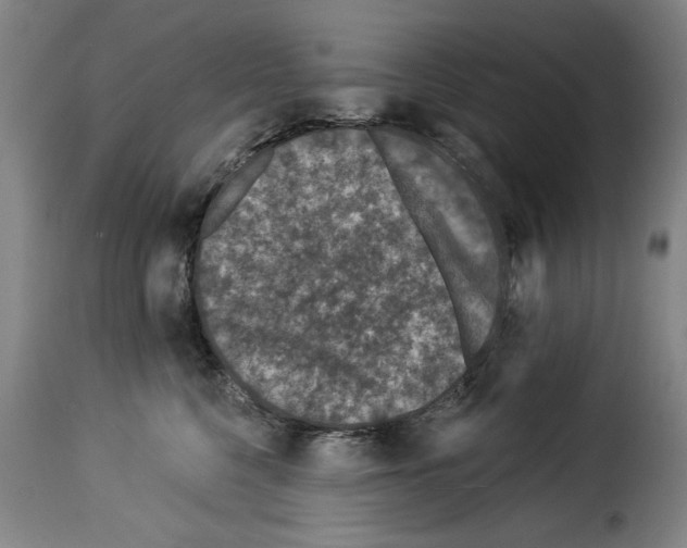 X0000114210568200911201025