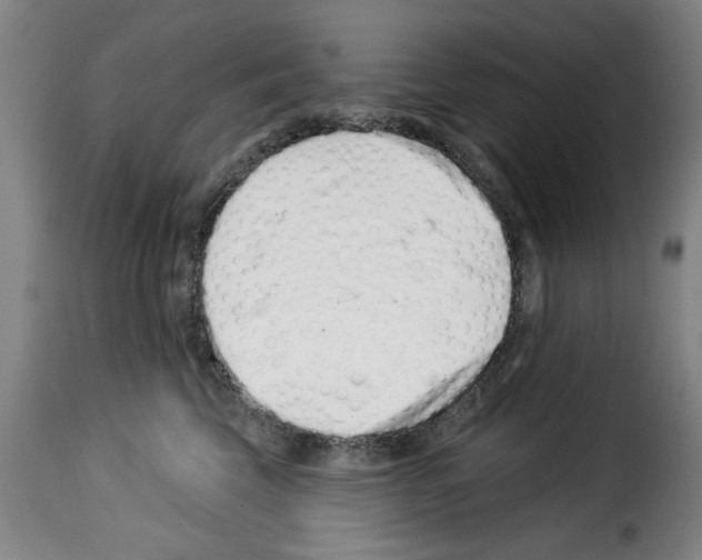 X0000114210569200911201025