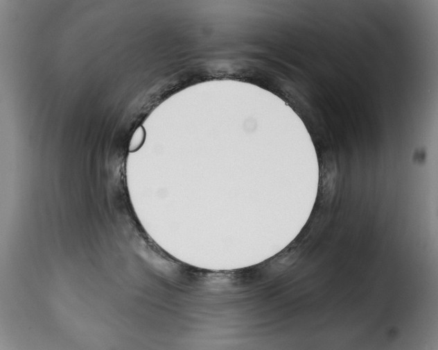 X0000114210574200911201025