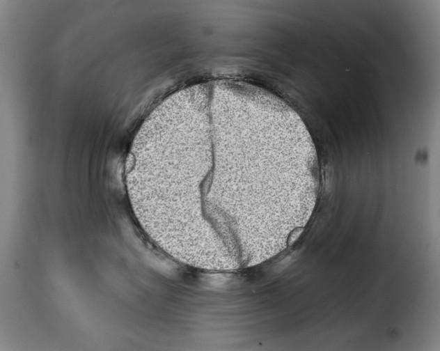 X0000114210575200911201025