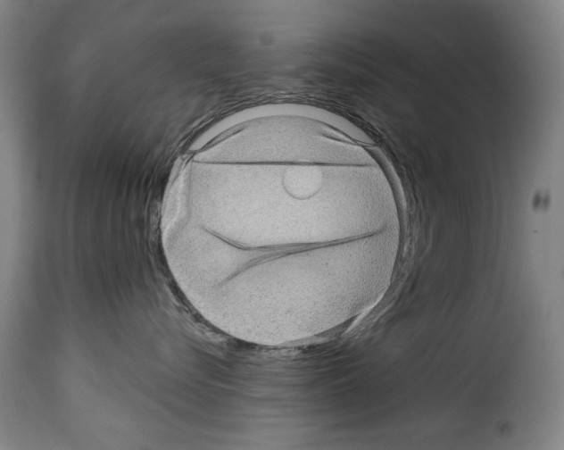 X0000114210576200911201025