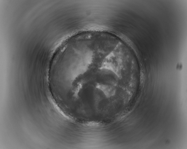 X0000114210581200911201024