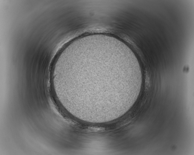 X0000114210582200911201024