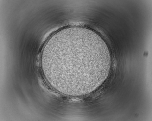 X0000114210583200911201024