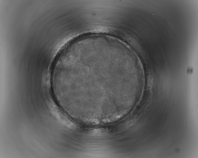 X0000114210584200911201024