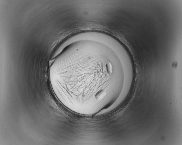 X0000114210585200911201024