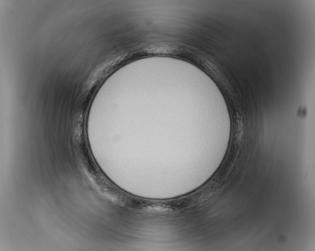 X0000114210586200911201024