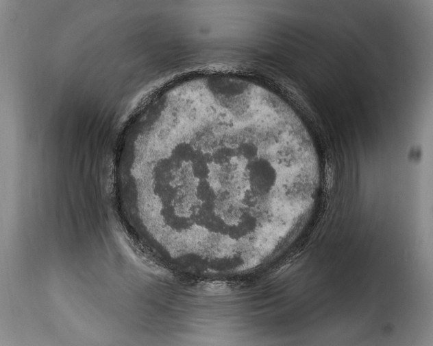 X0000114210588200911201024