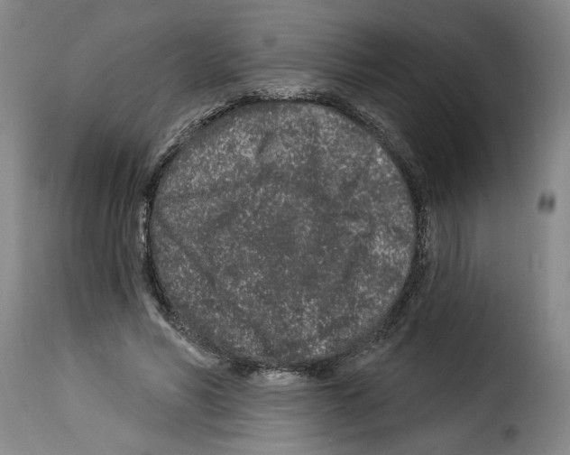 X0000114210590200911201024