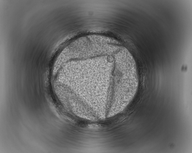 X0000114210591200911201024