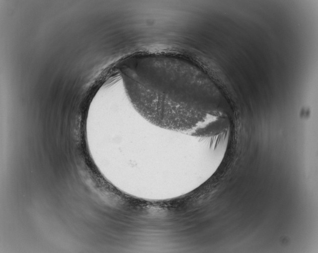 X0000114210592200911201024