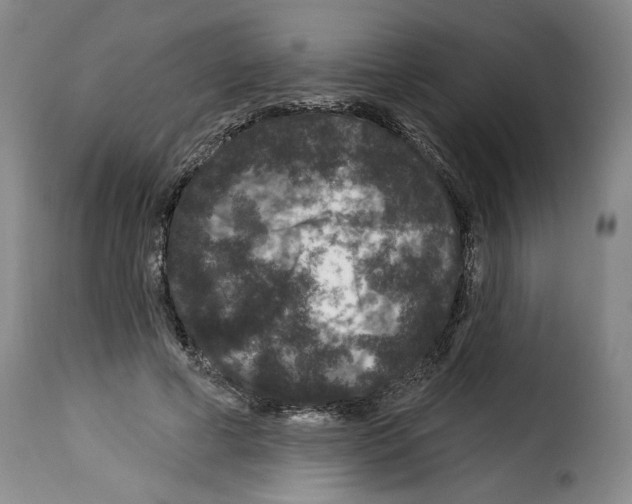 X0000114210593200911201024
