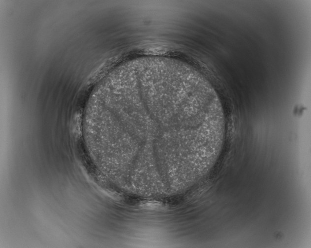 X0000114210598200911201024