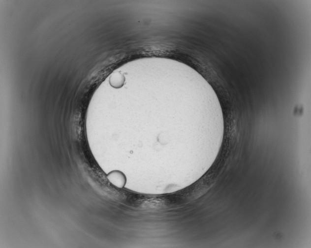 X0000114210599200911201024
