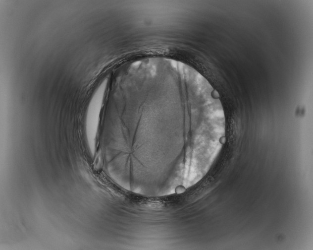 X0000114210600200911201024