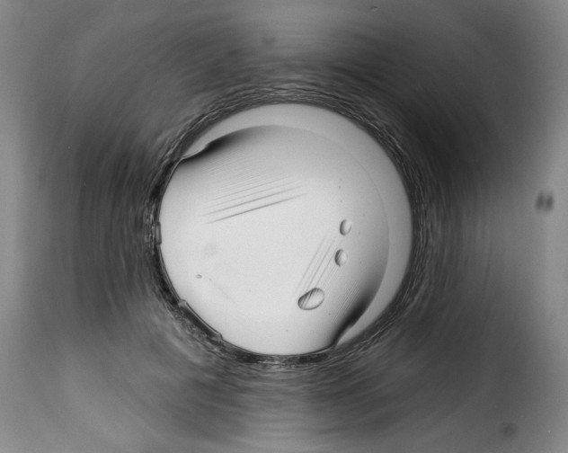 X0000114210601200911201024