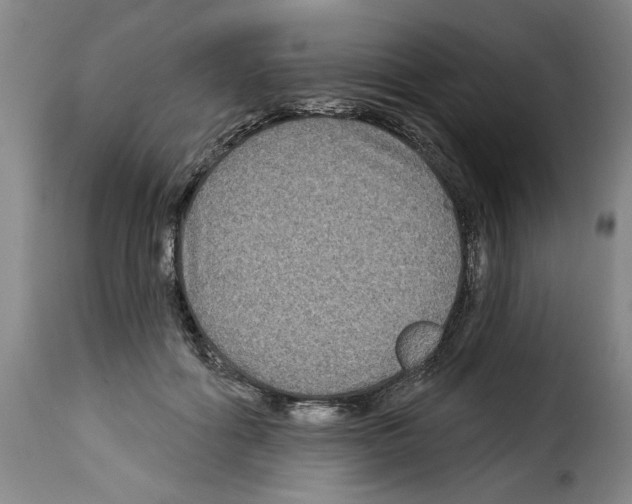 X0000114210602200911201024