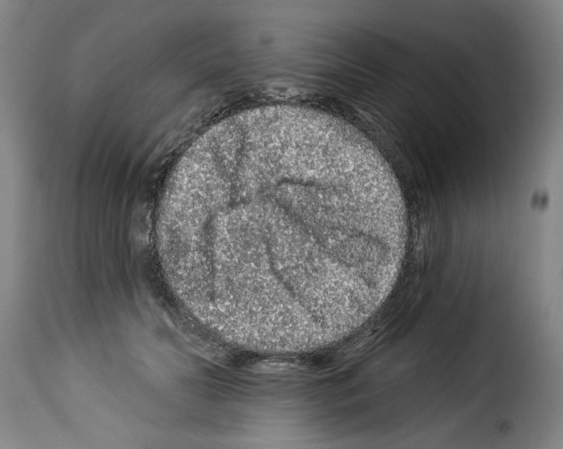 X0000114210606200911201024