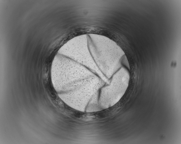 X0000114210607200911201024
