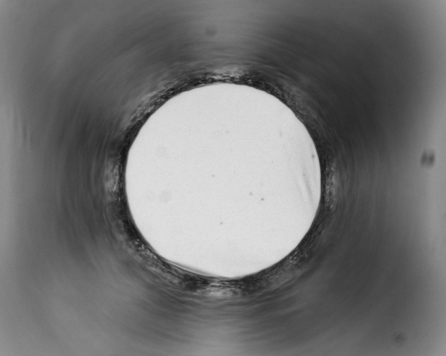 X0000114210608200911201024