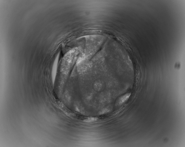 X0000114210609200911201024