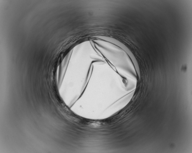 X0000114210611200911201024