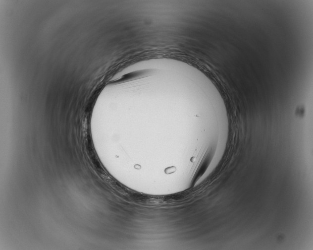 X0000114210613200911201024