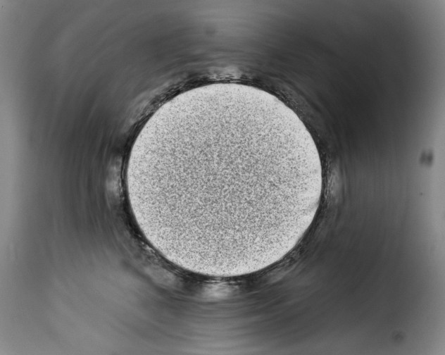 X0000114210616200911201024