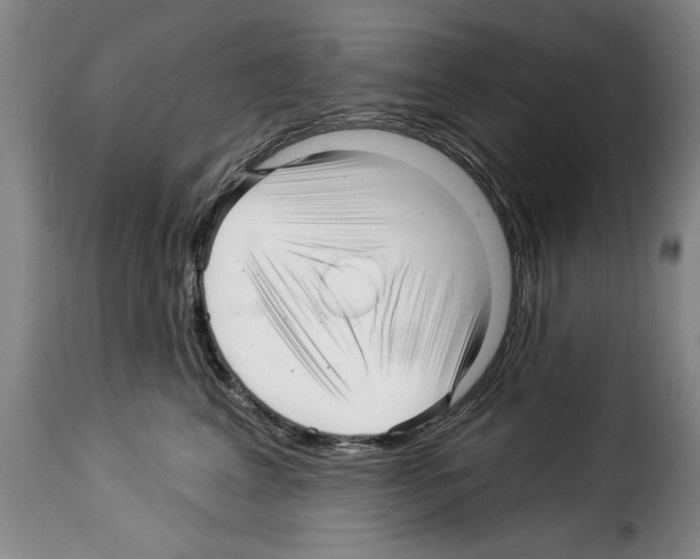 X0000114210617200911201024
