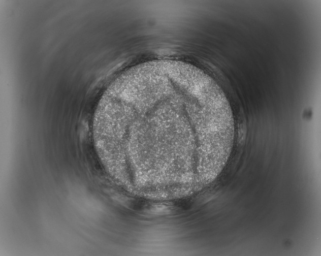 X0000114210618200911201024