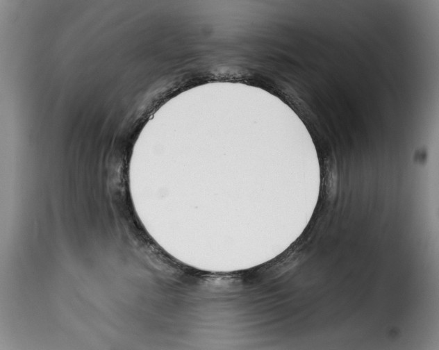 X0000114210619200911201024