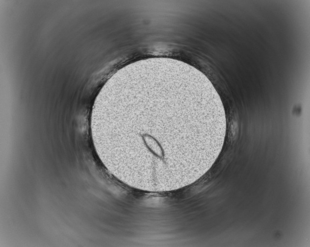 X0000114210620200911201024