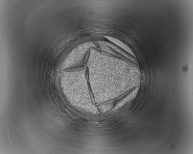X0000114210621200911201024