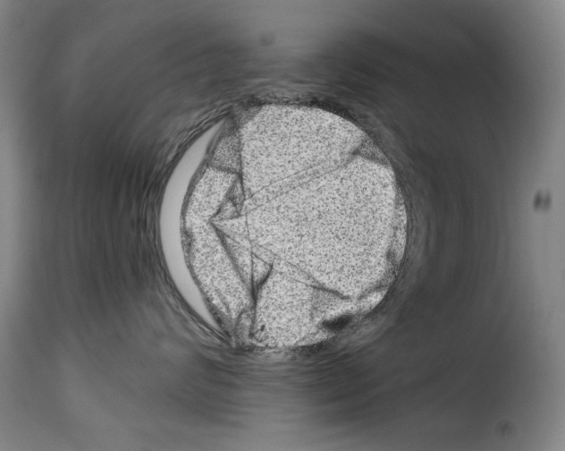 X0000114210624200911201024