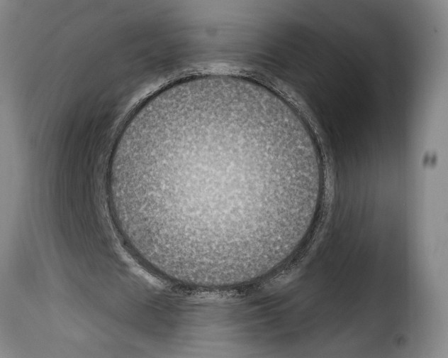 X0000114210625200911201023