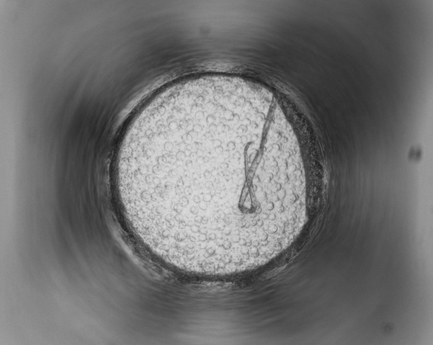 X0000114210626200911201023