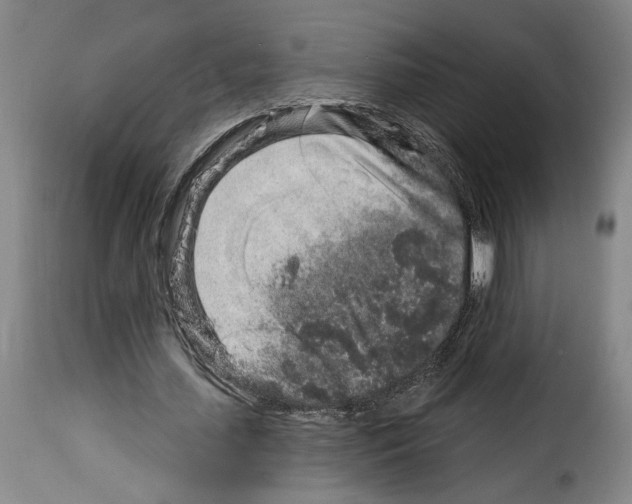 X0000114210627200911201023