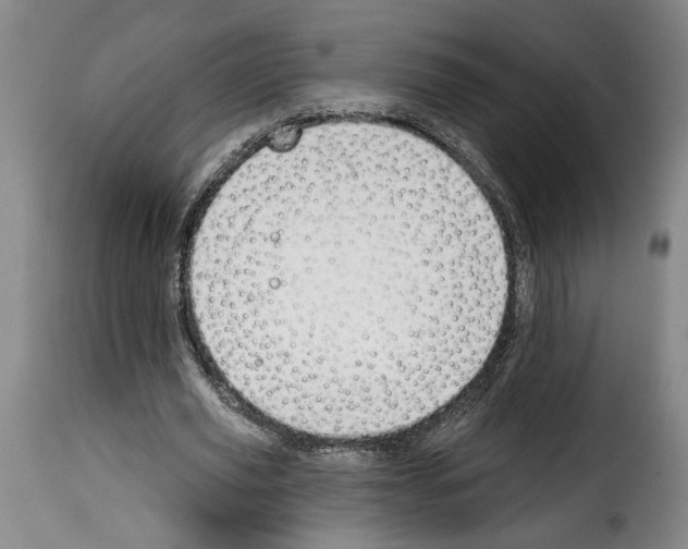 X0000114210629200911201023