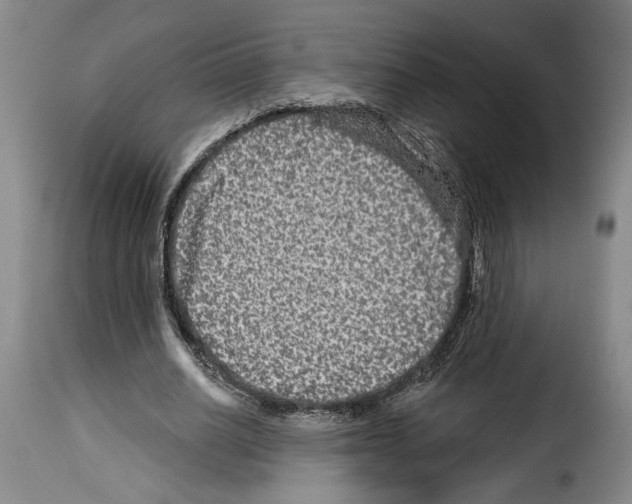 X0000114210630200911201023